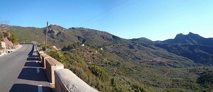 Una Isla En La Ciudad Castellón de la Plana Zewnętrze zdjęcie