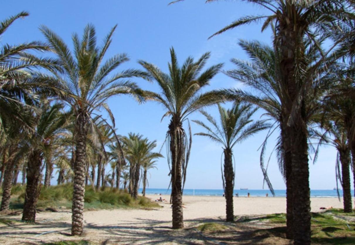 Una Isla En La Ciudad Castellón de la Plana Zewnętrze zdjęcie
